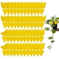 thumbnail image 1 of ACDANC 48 Pack Plant Sticky Trap Fungus Gnat Traps Killer for Indoor and Outdoor Bug,Fruit Fly Sticky Strips Protect Houseplant,Non-Toxic and Odorless Fungus Gnat Trap, 1 of 9