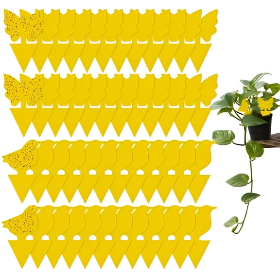 ACDANC 48 Pack Plant Sticky Trap Fungus Gnat Traps Killer for Indoor and Outdoor Bug,Fruit Fly Sticky Strips Protect Houseplant,Non-Toxic and Odorless Fungus Gnat Trap