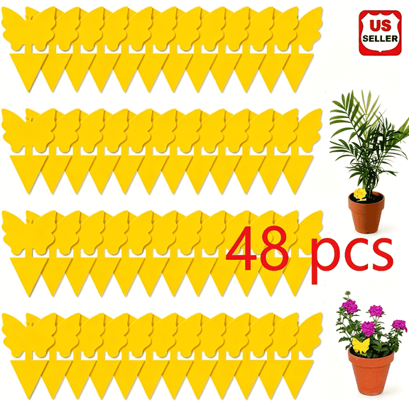 ACDANC 48 Pack Sticky Fruit Fly Trap and Fungus Gnat Traps Killer for Indoor and Outdoor, Protect the Plant, Non-Toxic and Odorless