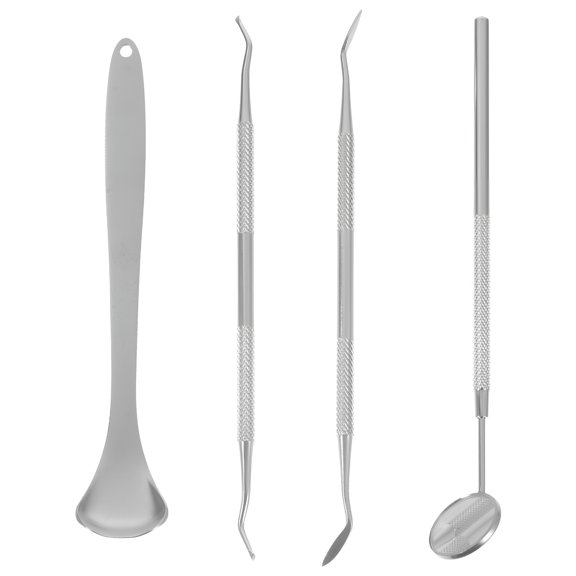 ACDANC 4pcs Stainless Steel Dental Tools Professional Plaque Remover Teeth Cleaning Tools Set (Silver)
