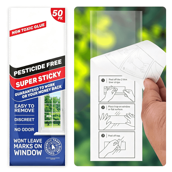 ACDANC 50 Fruit Fly Traps Sticky Non-Toxic Clear Fly Paper Indoor for Home No Mess Window Fly Traps Fly Strips and Tape Indoors Gnat Traps for House Indoor Bug Trap House Fly Trap Fly Sticky Trap
