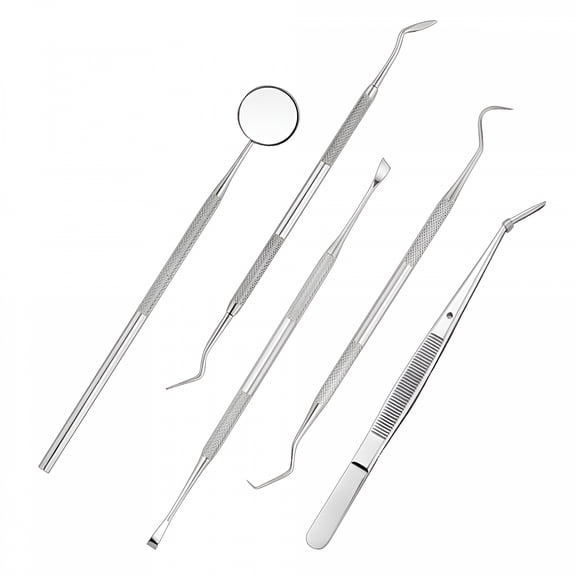 ACDANC 5Pcs Stainless Steel Hygiene Kit Tooth Scraper Probe Tweezers Tool
