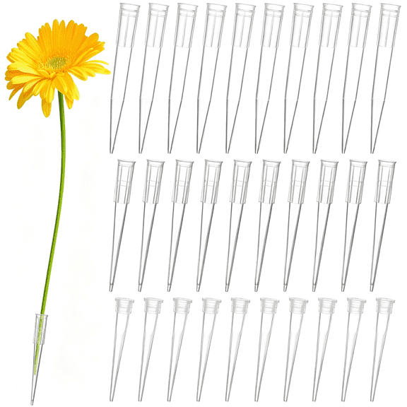 ACDANC 60 Pcs Clear Plastic Flower Stem Tubes,3 Sizes Floral Picks with Pointed Ends,Posy Picks for Diy Cake Decoration,Vase Arrangements,And Craftsmanship