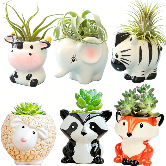 ACDANC 6Pcs Air Plant Holder Cartoon Shaped Small Succulent Pots Animal Planters Small Ceramic Pot Drainage for Mini Plant Cactus Flower, Tillandsia Air Fern, Display Stand Home, Office Desktop