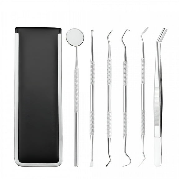 ACDANC Tooth Care 6Pcs Stainless Clean Set Hygiene Kit Oral Tool Care Tooth Care,1 Set of Dental Care Tools (6 Pieces)