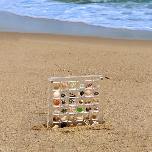 ACDANC Acrylic Magnetic Seashell Display Box, Seashell Storage Box Display Case Decorative Seashell Starfish Trinket, Small Craft Organizers Container for Bead, Nail, Jewelry
