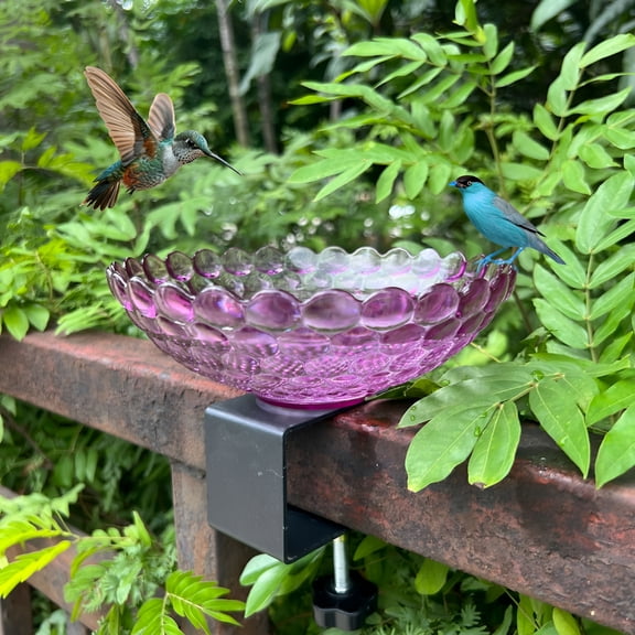 ACDANC Bird Bath for Outdoors, 6.9-Inch Bird Bath with Adjustable Sturdy Metal Clamp for Railings, Deck Mounted Bird Bath Bowl Feeder for Balcony Yard Garden Decor
