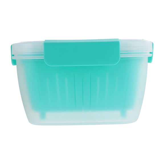 ACDANC Double Storage Box Lettuce Keeper Berry Containers for Fridge Sink Colander Refrigerator Organizer Bin