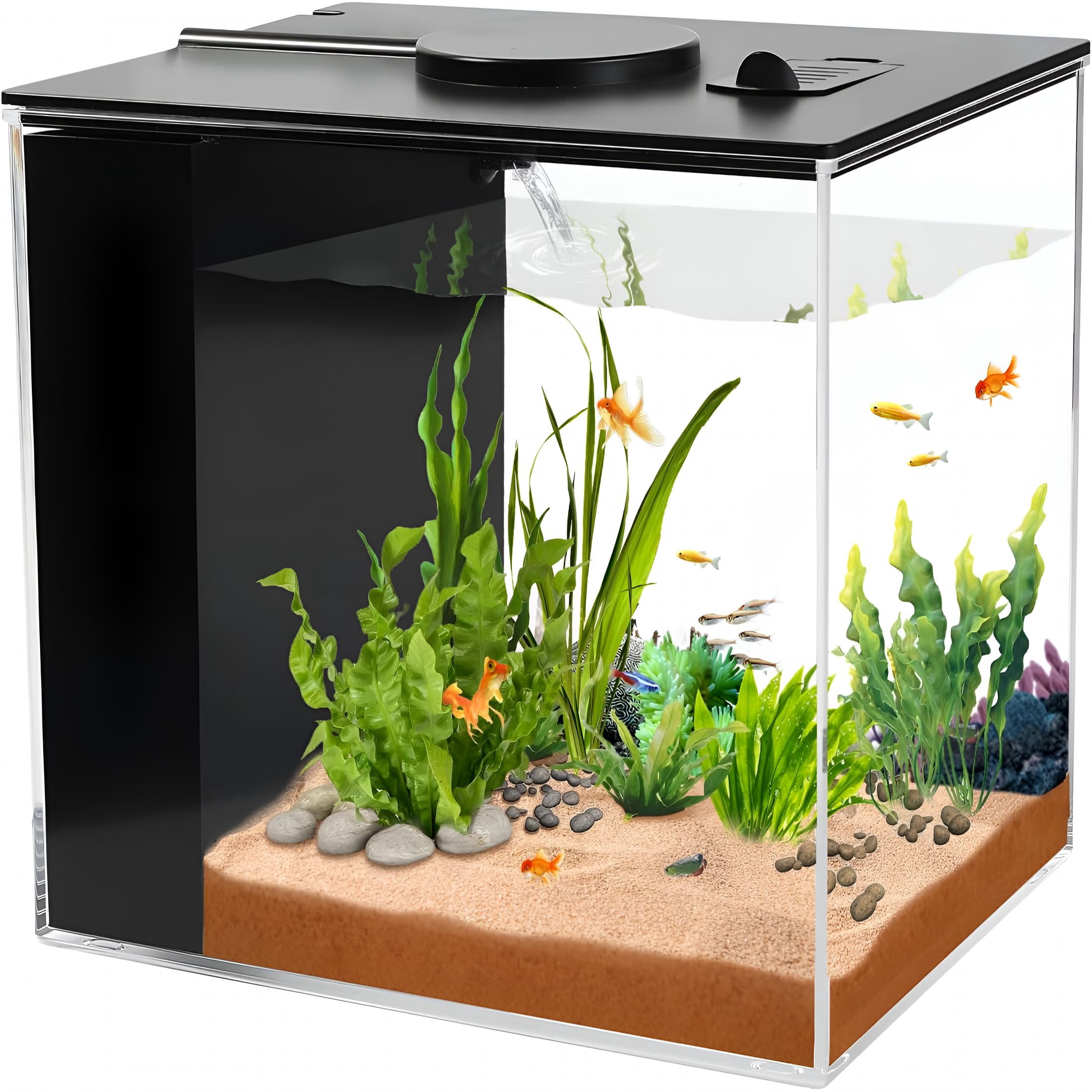 ACDANC Fish Tank, 1 Gallon Betta Fish Tank, Small Aquarium Kit with LED Light and Water Filter Pump
