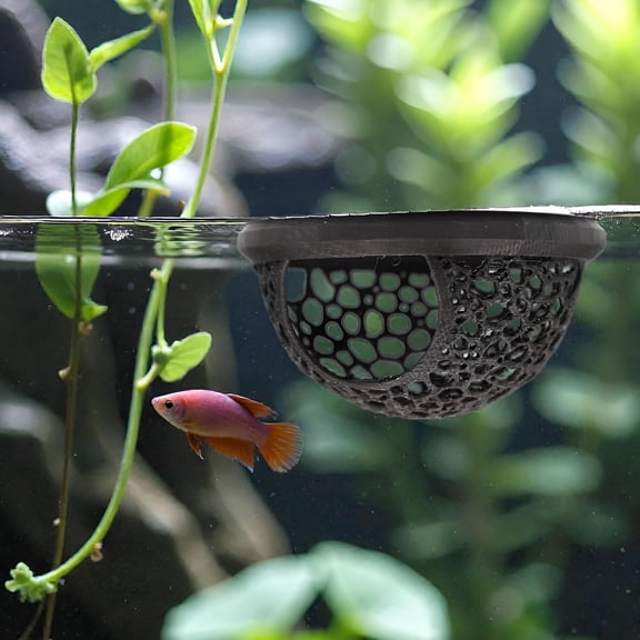 ACDANC Floating Betta Fish Skins, Betta or Shrimp Feeder, Cave and Hammock, Small Fish Feeding Rings, Aquarium Hiding Feeding Decorative Accessories
