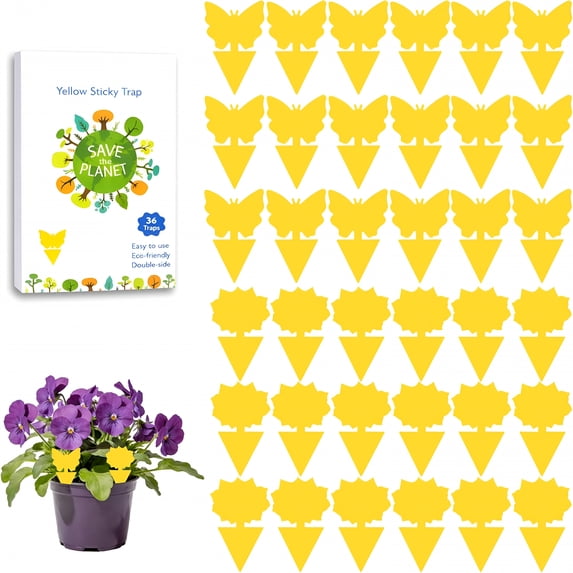 ACDANC Fruit Fly Sticky Trap for Indoor and Outdoor,36 Pack Fungus Gnat Killer for Houseplant,Mosquitos,Flying Insect,White Flies