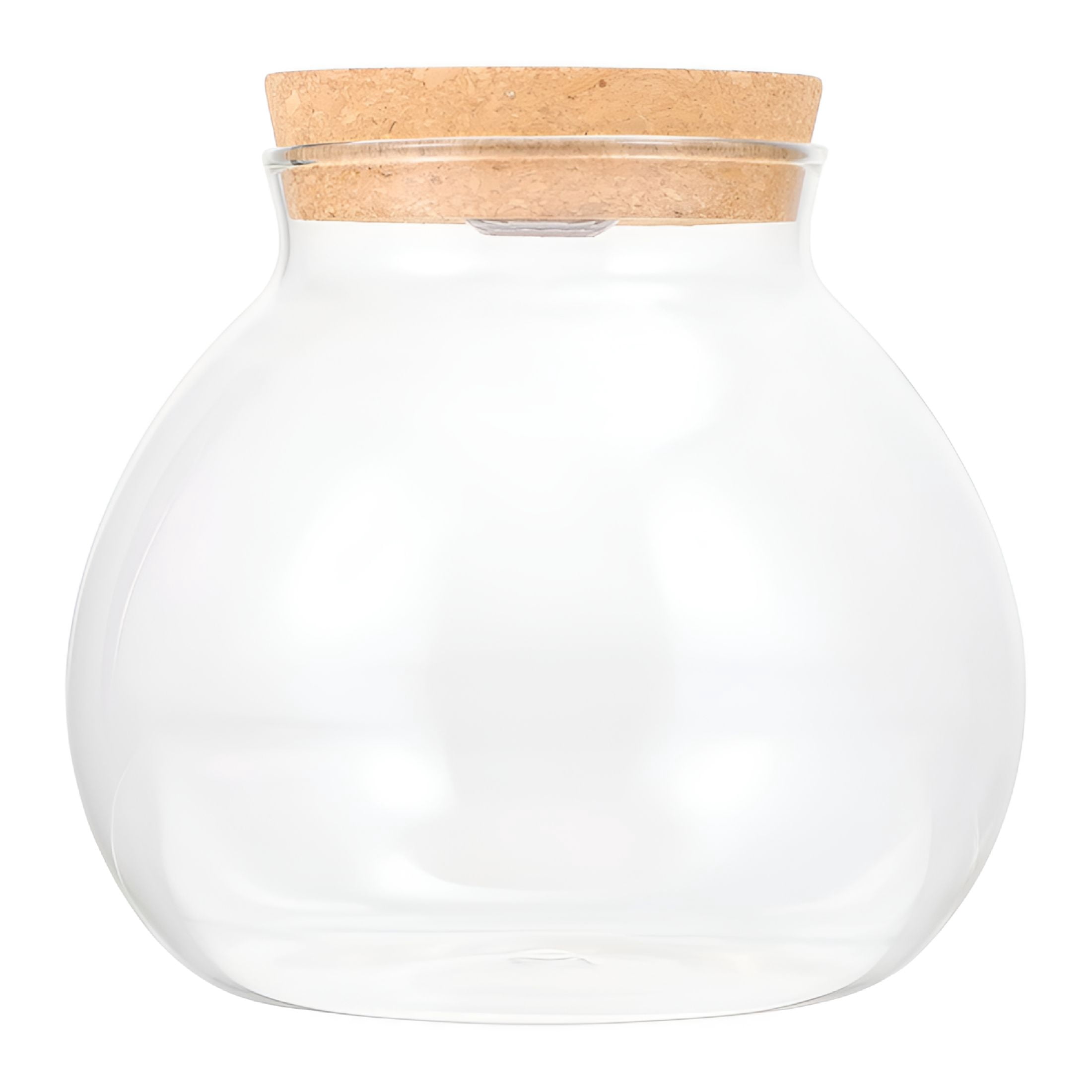 Led Container Snack ACDANC Glass Terrarium Container with Light 14X13X13Cm - Walmart.com