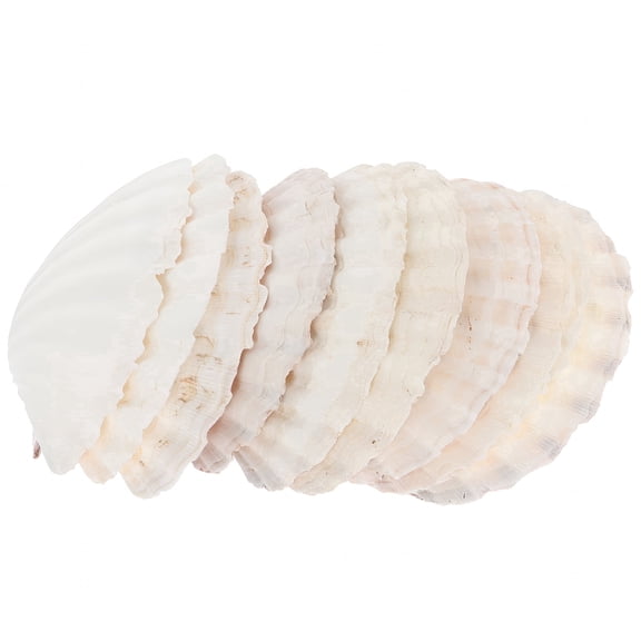 ACDANC Natural Scallop Shells 10pcs for Crafts,DIY,Baking,Wedding Decor