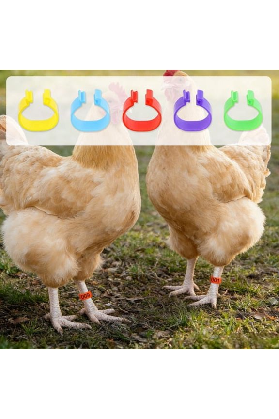 Numbered Poultry Leg Bands Clip on Identification Rings Set of 50 Reusable Open Style Id Tags Assorted Colors for Chickens Roosters Hens Ducks Farm Use Leg Bands for Chickens