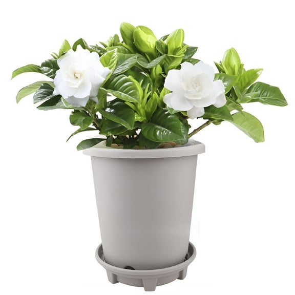 ACDANC Round Indoor Plastic Plant Pots Flower Pots with Drainage Trays For 1 gallon Gardening Accessories
