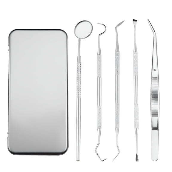 ACDANC Stainless Steel Dental Pick Set 5 Piece - Metal Tooth Cleaning Tool With Scraper Probe and Hook - Portable Oral Hygiene Kit for Humans and Pets With Storage Case for Home Travel Office