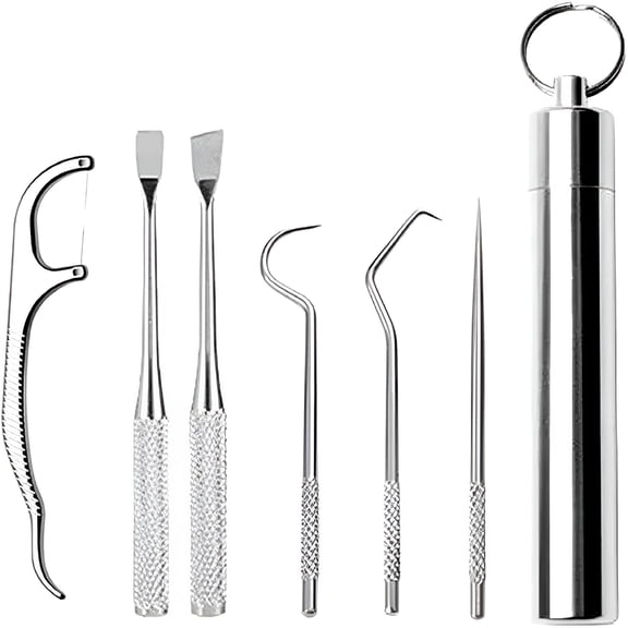 ACDANC Stainless Steel Toothpick Set 5/7/9 PCS Reusable Metal Toothpicks Cleaning Kit with Holder Stains Remover Dental Tool Teeth Cleaning Tools for Outdoor Picnic Camping Traveling (7pcs)