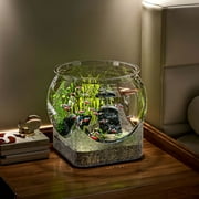 ACDANC Transparent Plastic Desktop Fish Tanks,Small Simple Fish Tanks,Wear Resistant,Drop Resistant,Clear Acrylic Design,for Office Desk,Home Aquarium,5 Gallon Capacity,Shatterproof Material,Pet