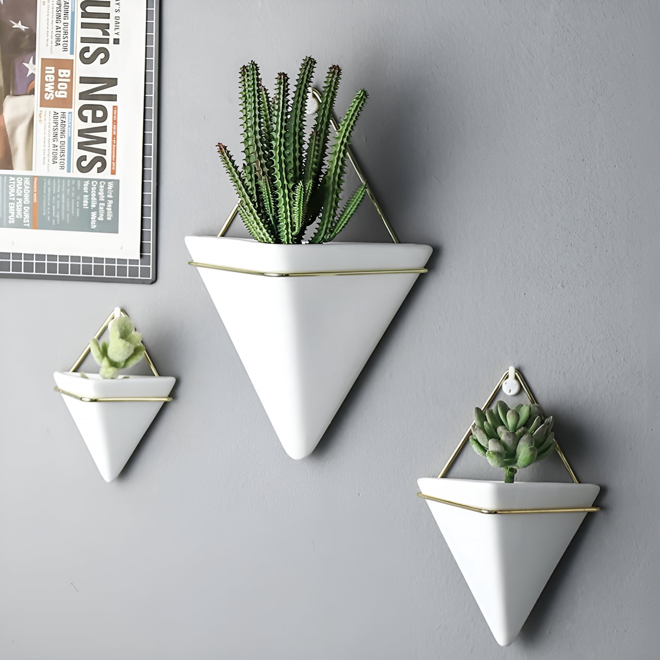 ACDANC Wall Planter Indoor,Hanging Wall Planter,Geometric Succulent Air ...