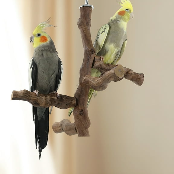 ACDANC Wood Bird Perch Stand, Multi Branch Cage Top Activity Center Platform, Natural Wood Tree Toy for Conures Parrots Parakeets Macaws