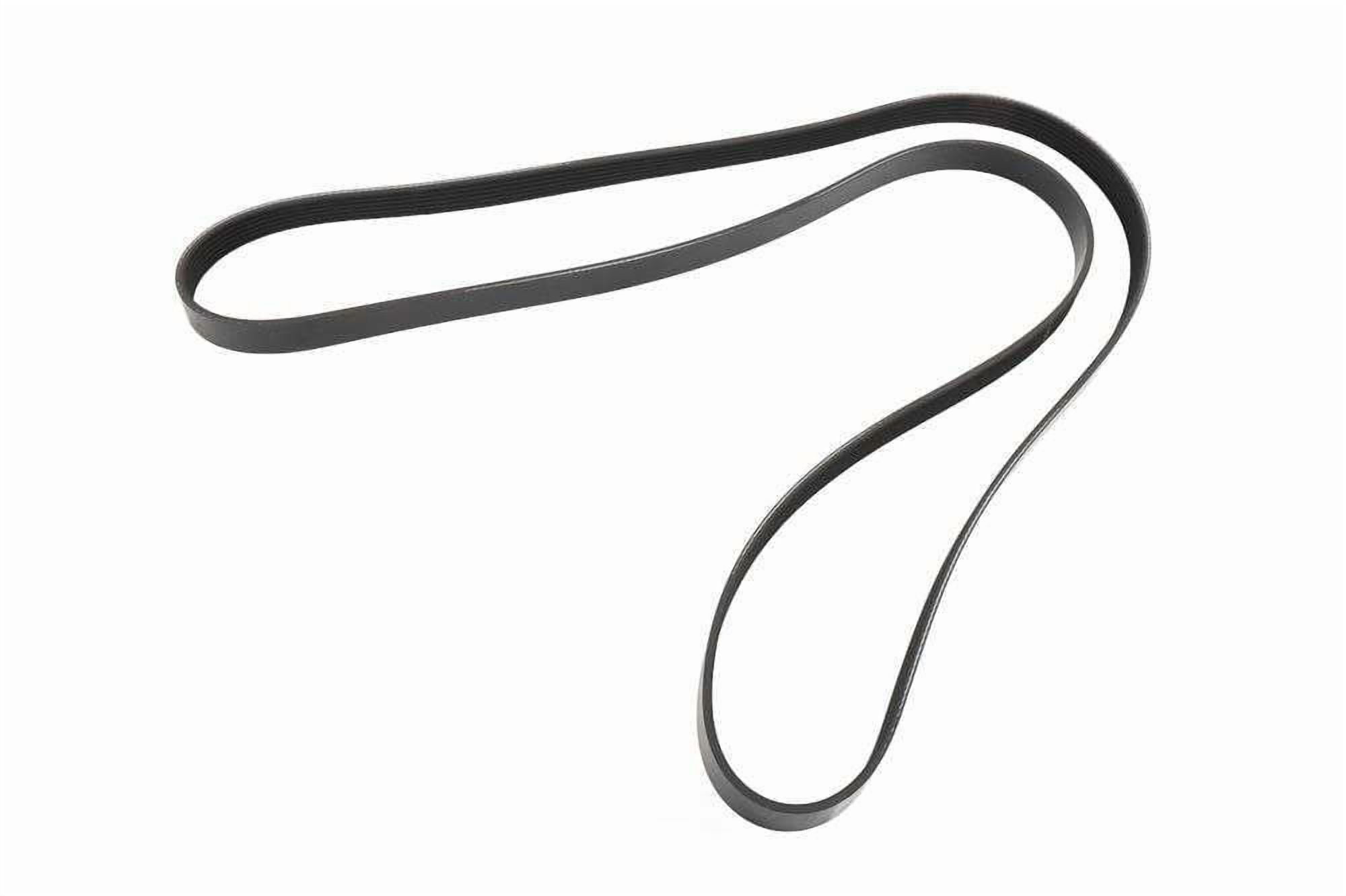 ACDelco 12732503 Accessory Drive Primary Belt