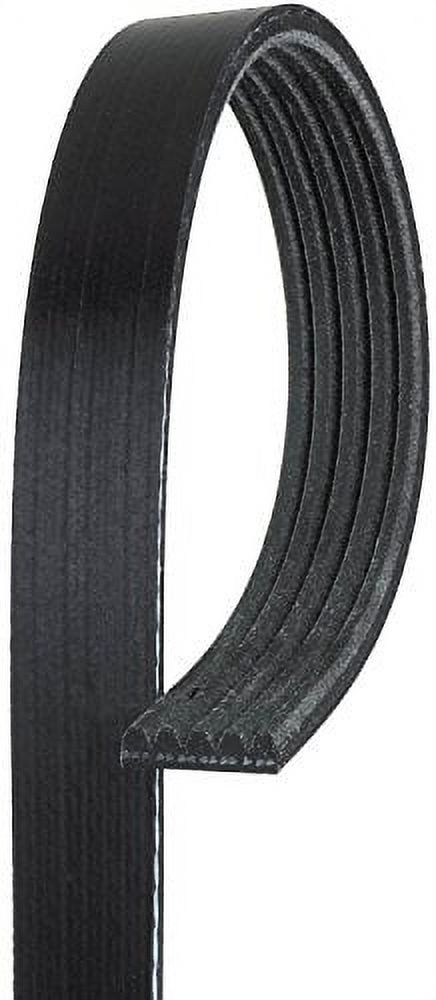 ACDelco Professional 510-644 Rückglas-Hebebühne – Gasgeladen & Einfach Zu Montieren