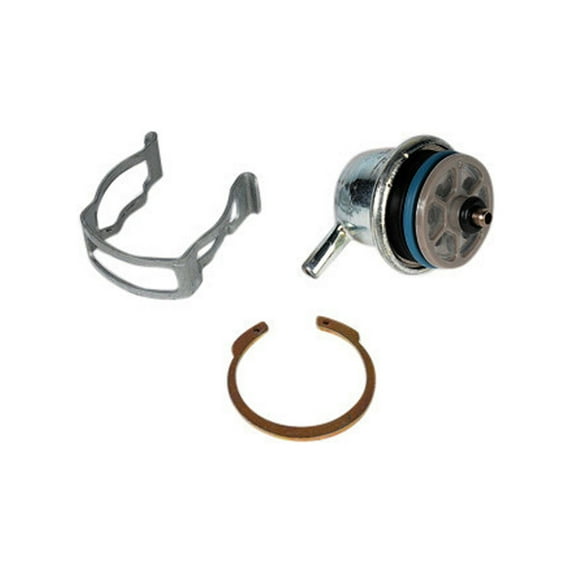 ACDelco GM Original Equipment 217-3073 Fuel Injection Pressure Regulator Kit with Clip and Snap Ring Fits select: 1999-2005 CHEVROLET SILVERADO, 2001-2005 CHEVROLET TAHOE