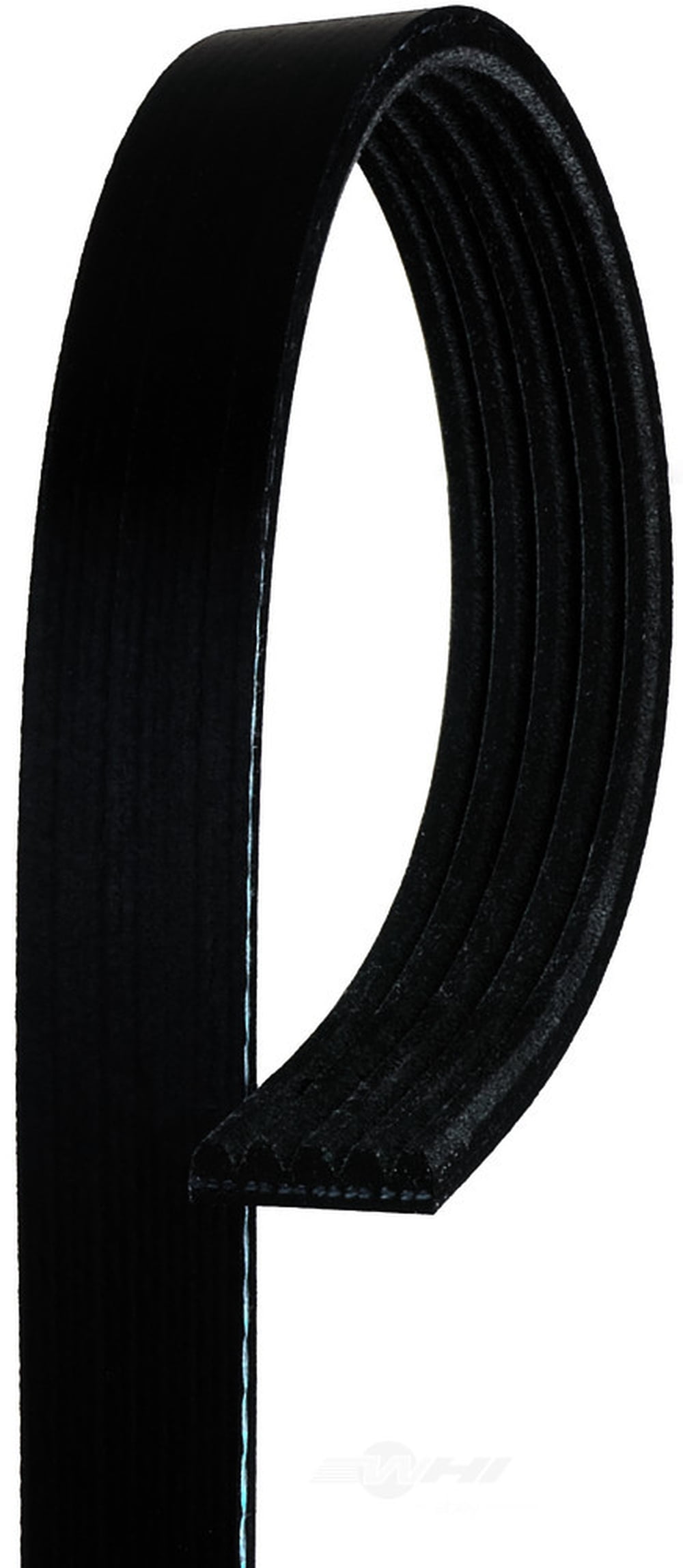 ACDelco Professional 5K835 Standard V-Ribbed Serpentine Belt Fits select: 1991-1997 CHEVROLET CAVALIER, 1995-1997 PONTIAC SUNFIRE