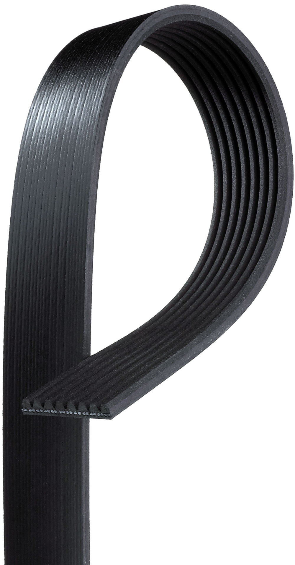 ACDelco Professional 8K981 Standard V-Ribbed Serpentine Belt Fits select: 1997-2001 FORD EXPEDITION, 1998-2001 LINCOLN NAVIGATOR