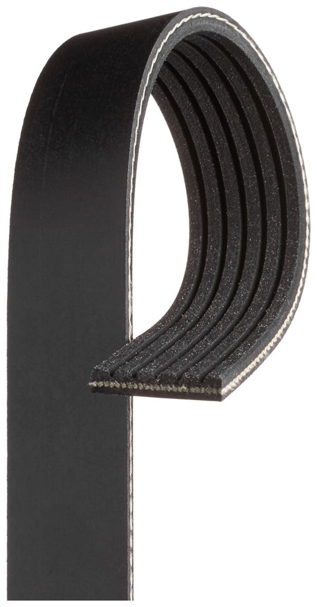 ACDelco V-Ribbed Serpen (A)