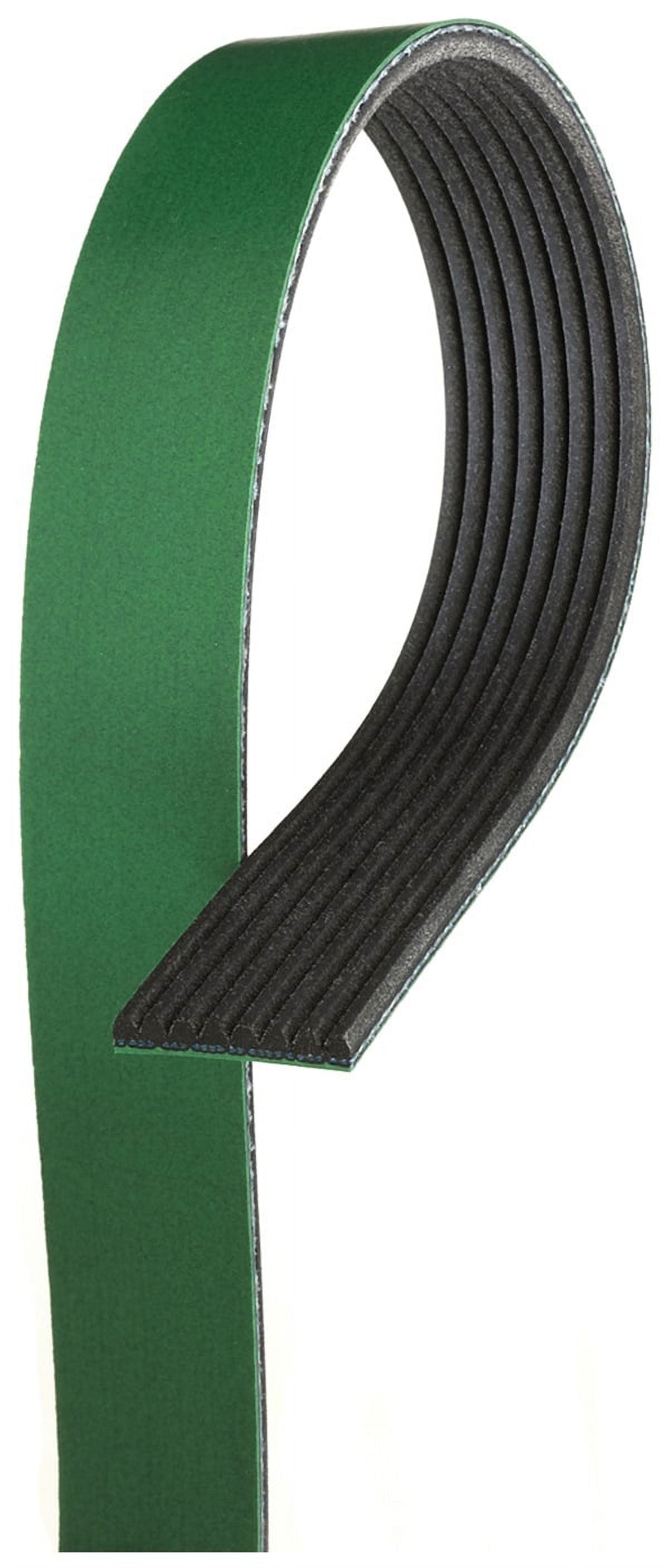 ACDelco V-Ribbed Serpen (A)