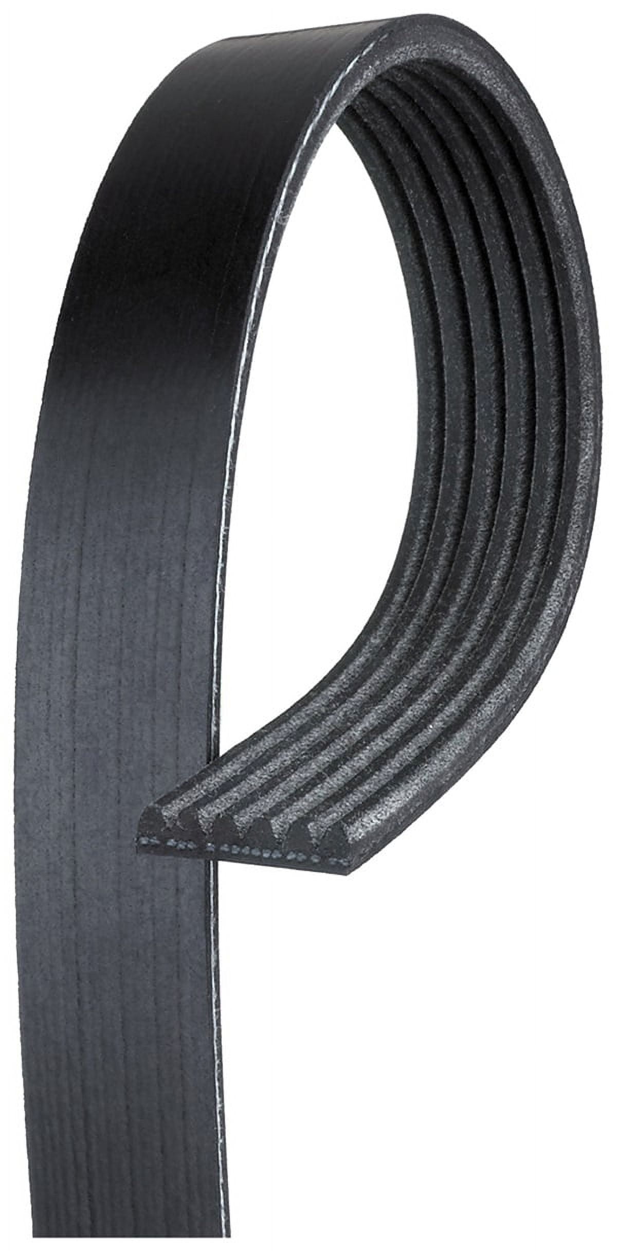 ACDelco V-Ribbed Serpen (B)