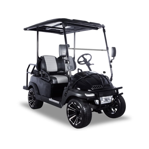 ACE Electric Golf Cart/EV, 48V motor, 20MPH max speed, Rear flip cargo seat, Midnight Black