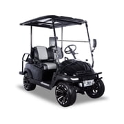 ACE Electric Golf Cart/EV, 48V motor, 20MPH max speed, Rear flip cargo seat, Midnight Black