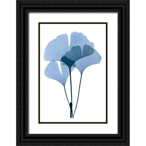 ACEE 17x24 Black Ornate Wood Framed with Double Matting Museum Art Print Titled - Get Growing I