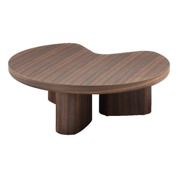 ACME Yoab Coffee Table in Smoked Oak & Light Gray High Gloss