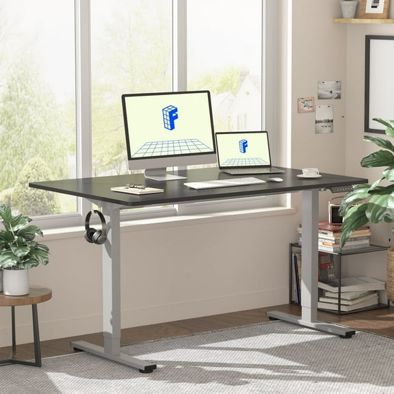 FLEXISPOT 48"x30" Home Office Height Adjustable Standing Desk with Hooks, Ergonomic Electric 2-Stage Stand Up Computer Desk, Gray and Black
