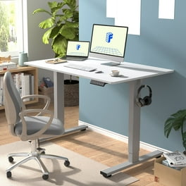 FLEXISPOT 48 x 30 Home Office Height Adjustable Standing Desk Memory Programmable Presets Computer Desk Gray and Maple Walmart