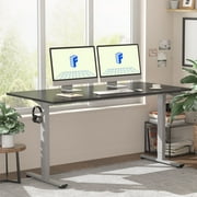 FLEXISPOT 55x28 Home Office Height Adjustable Standing Desk with Hooks, Ergonomic Electric 2-Stage Stand Up Computer Desk, Gray and Black
