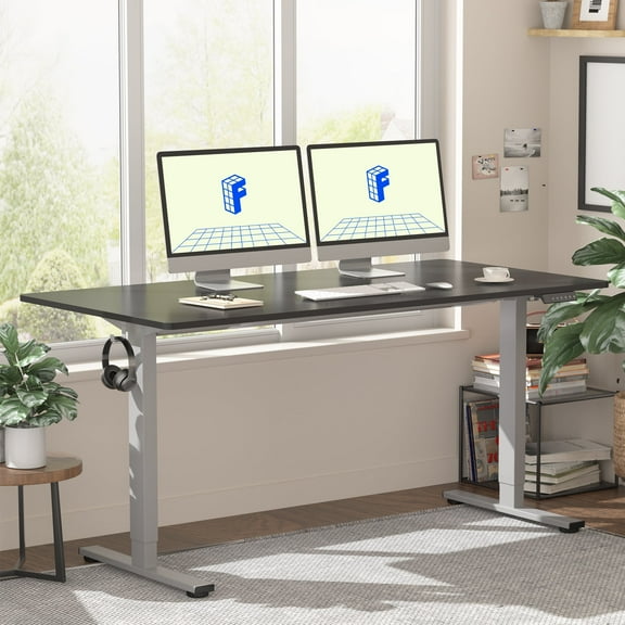 FLEXISPOT 55"x28" Home Office Height Adjustable Standing Desk with Hooks, Ergonomic Electric 2-Stage Stand Up Computer Desk, Gray and Black