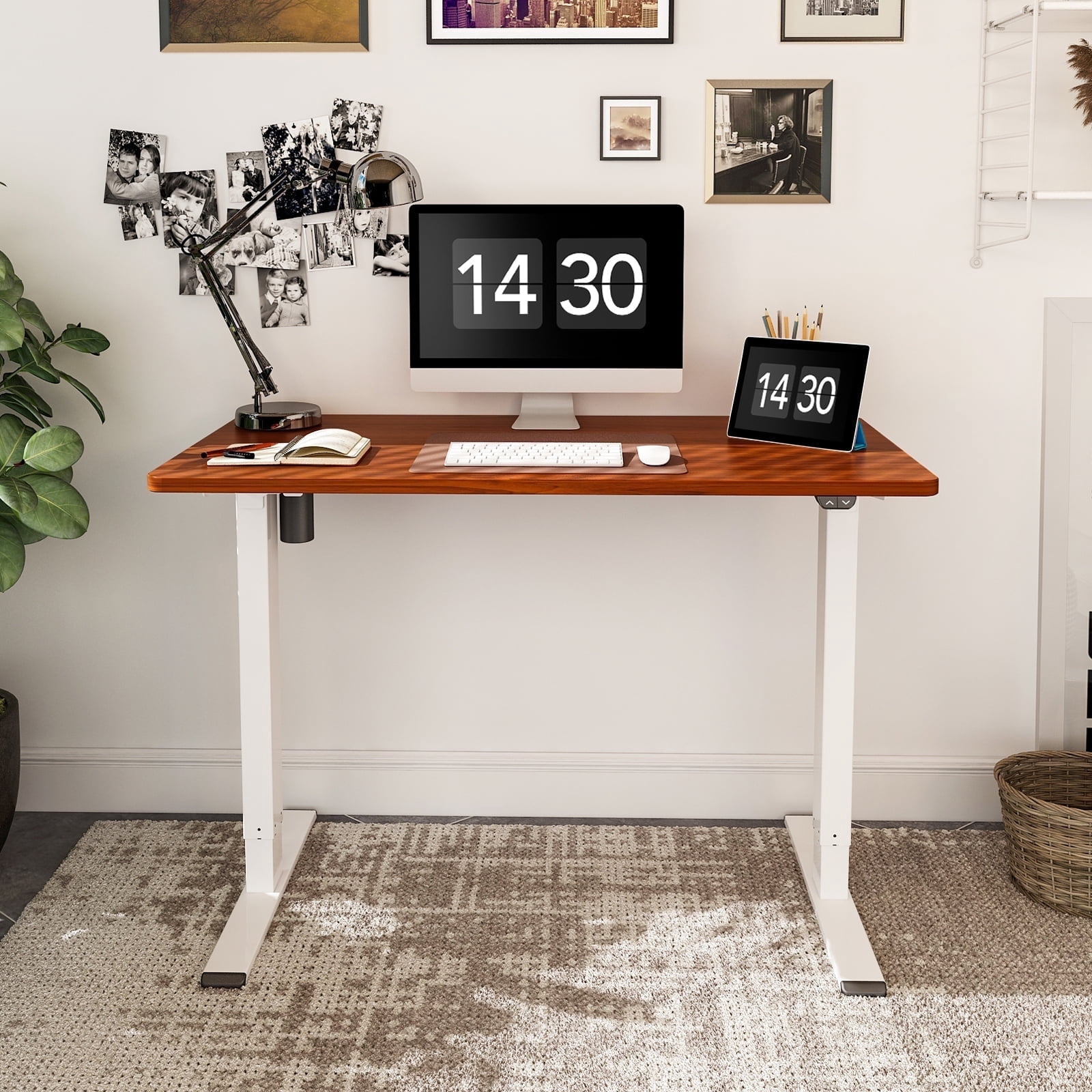 ACTIVESIT Home Office Electric Height Adjustable Standing Desk 48