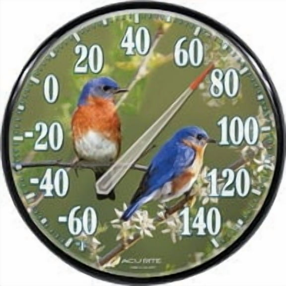 1PC Acu-Rite Bluebird Outdoor Wall Thermometer