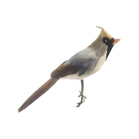AD Fthr Cardinal Female 6" 1pc
