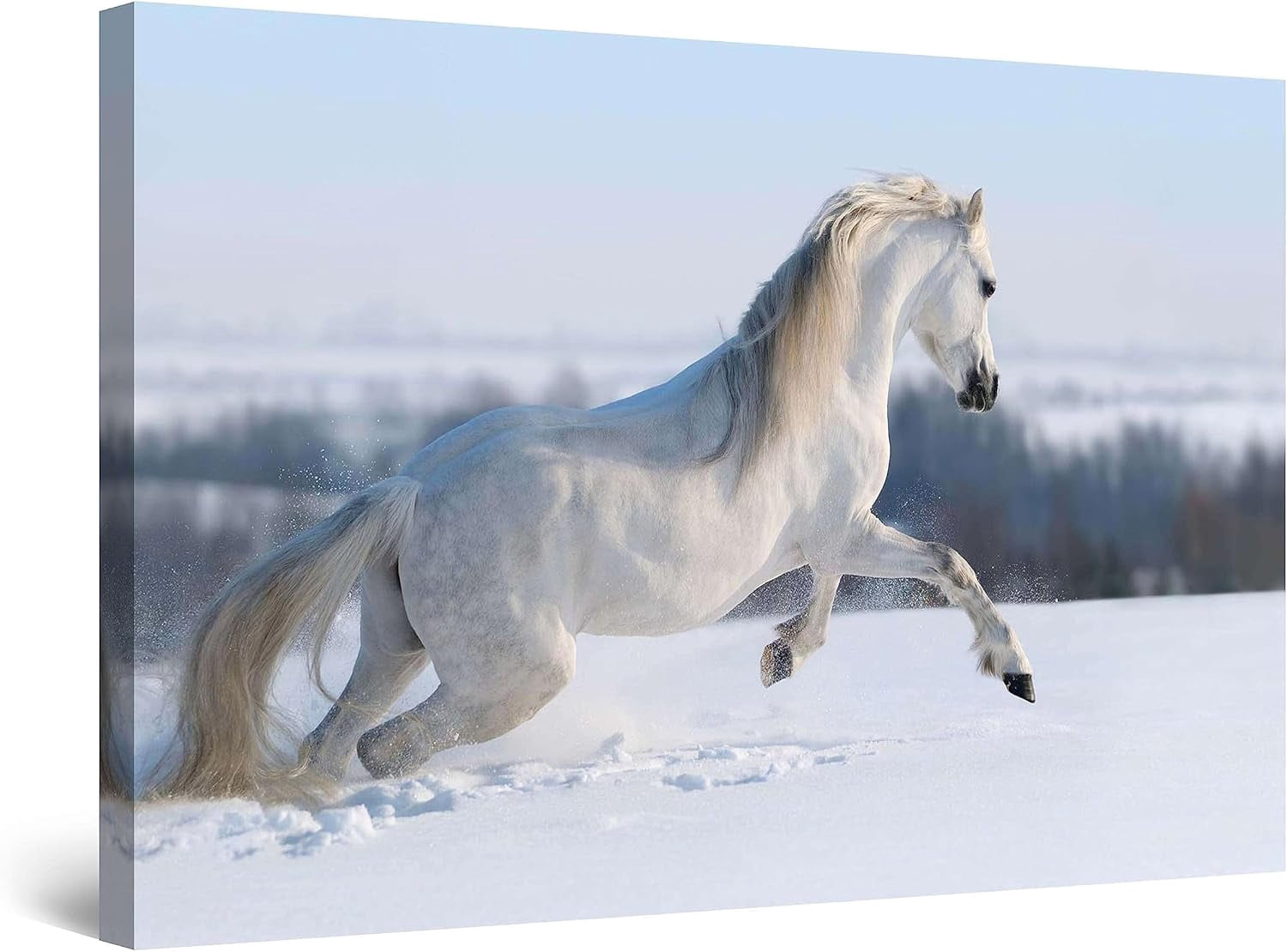 ADALE Canvas Wall Art Decor Horses Running in the Sand Animal Painting