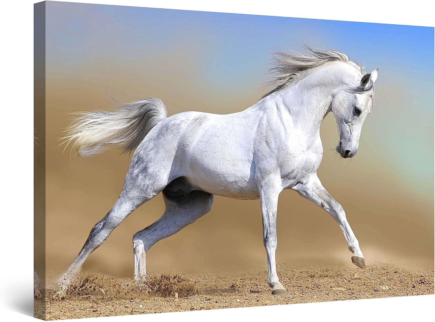 ADALE Canvas Wall Art Decor Horses Running in the Sand Animal Painting