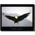 thumbnail image 1 of ADALE Eagle Bald Bird Freedom Patriotic Art Print Wall Decor Poster Picture Unframed 10x8 Inch, 1 of 5