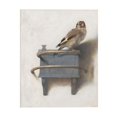thumbnail image 1 of ADALE Fabritius The Goldfinch Bird Animal Nature Painting Art Print Framed Poster Wall Decor Unframed 14x11 Inch, 1 of 6