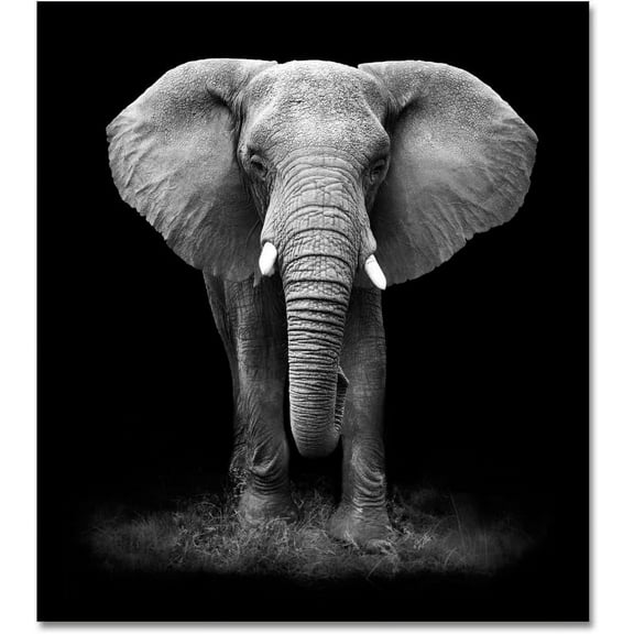 ADALE Large Black and White Canvas Wall Art, Elephant Pictures Wall Decor for Home, Large Living Room Wall Decor Modern Art Prints Unframed 20x16 Inch