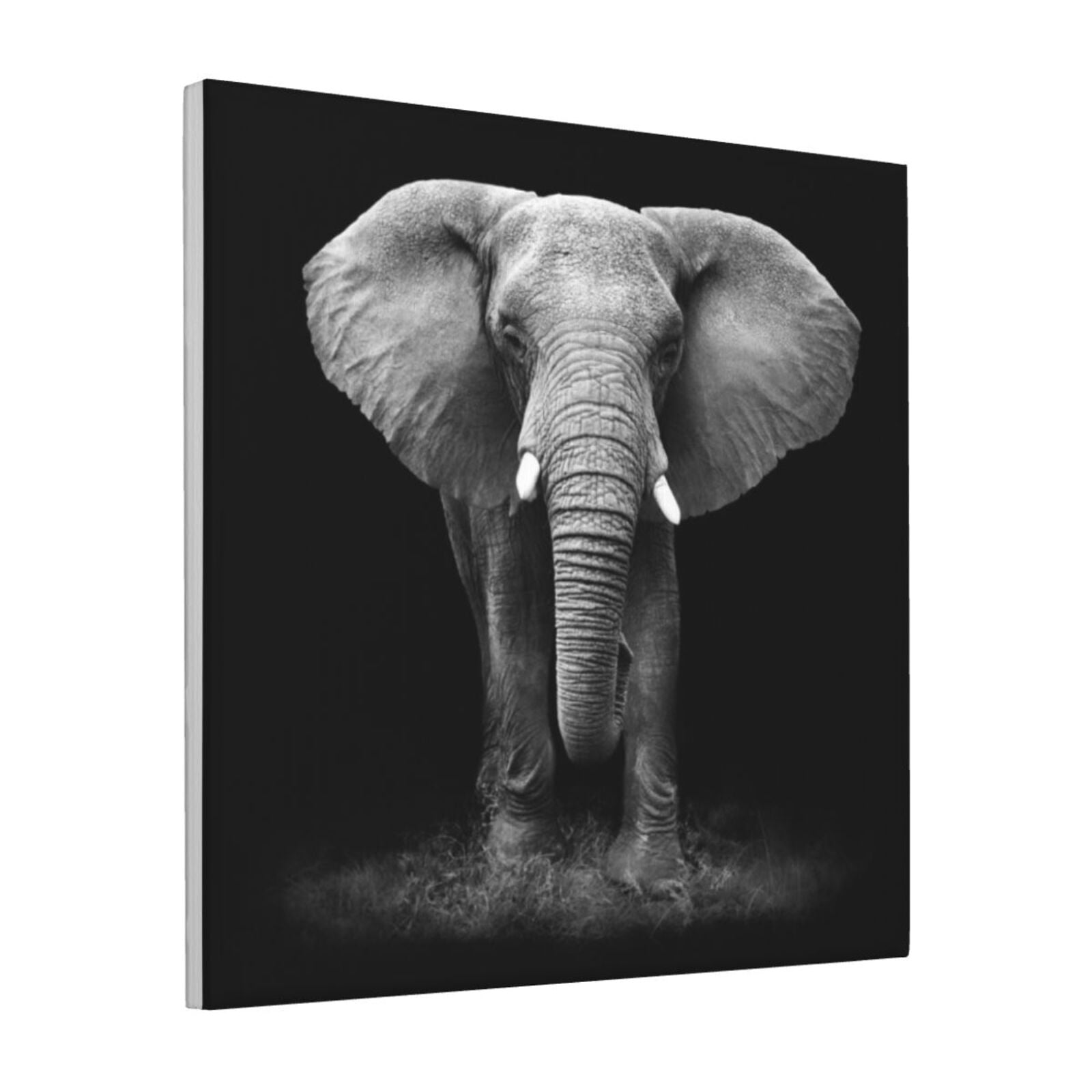 ADALE Large Black and White Canvas Wall Art, Elephant Pictures Wall