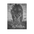 thumbnail image 1 of ADALE Lioness and Cubs Warm Animals Black and White Poster Canvas Painting Wall Art Poster for Bedroom Unframed 8x10 Inch, 1 of 6